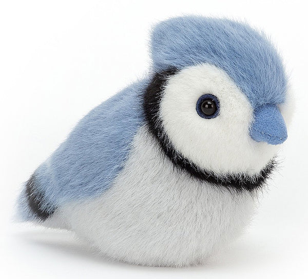 Bird clearance teddy bear