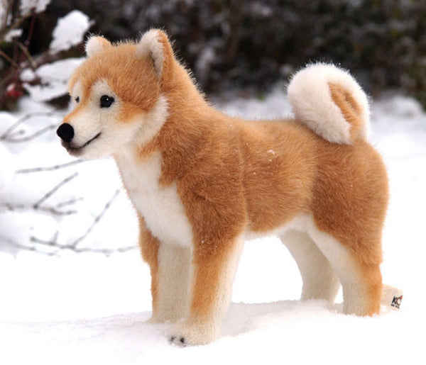 Shiba teddy bear discount