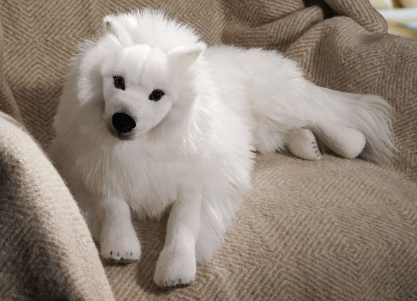 Japanese hot sale spitz fox