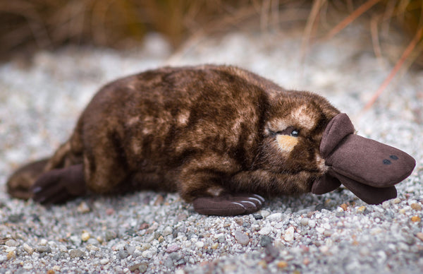 kosen_platypus_6840_2_grande.