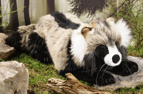 Racoon Dog by Kosen - 50cm