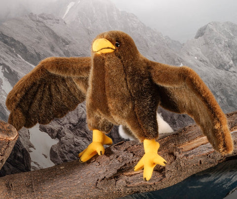 Eagle, little by Kösen - 21cm