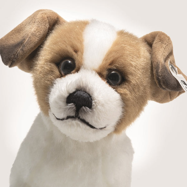 COMING SOON - Terrie Dog by Steiff - 17cm