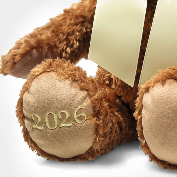 2026 Cosy Year Bear by Steiff - 34cm