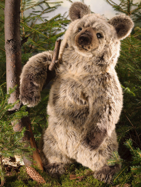 Grizzly Bear by Kosen - 70cm