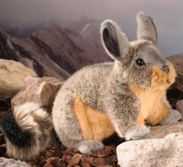 Viscacha Chinchilla by Kosen - 25cm