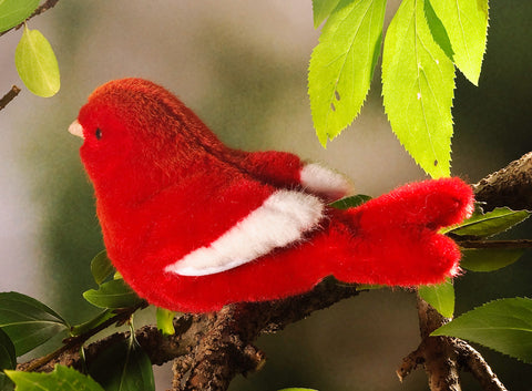 Canary by Kosen - 15cm, red