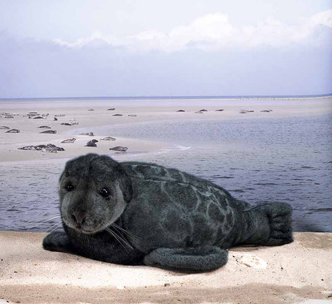 Ringed Seal by Kosen - 52cm