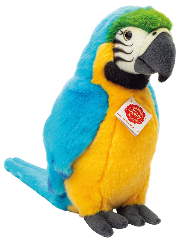 Parrot shop teddy bear