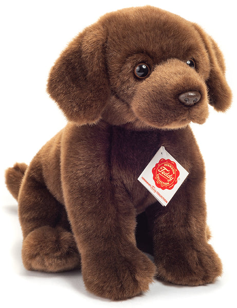 Labrador teddy hot sale