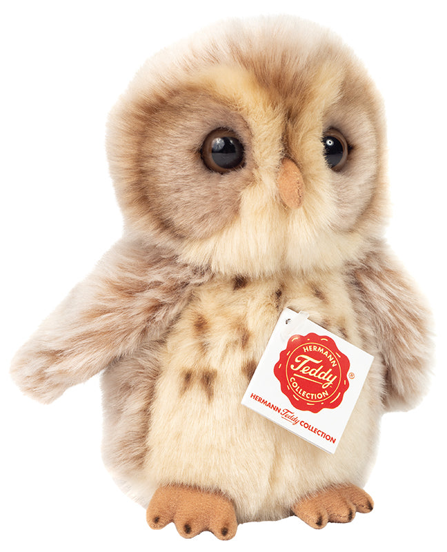 Owl teddy bear discount