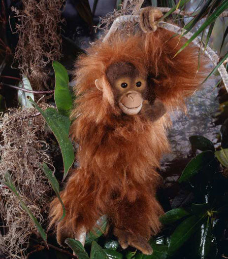 Orangutan by Kosen - 40cm