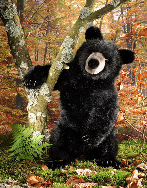 Realistic stuffed black shop bear