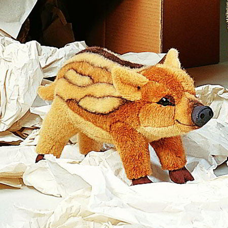 Young Wild Boar by Kosen - 48cm