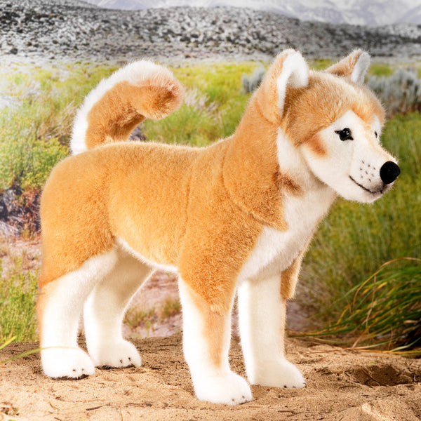 Shiba Inu by Kosen - 37cm