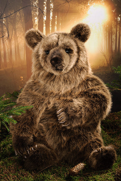 Brown Bear by Kosen - 70cm