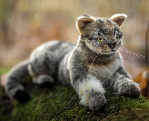 Wildcat by Kosen - 29cm