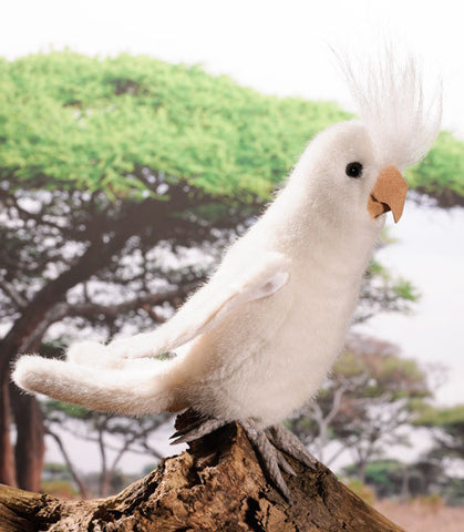 Cockatiel by Kosen - 16cm