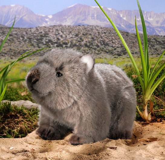 Wombat Baby by Kosen - 24cm