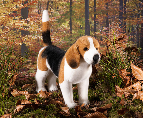 Beagle by Kosen - 34cm