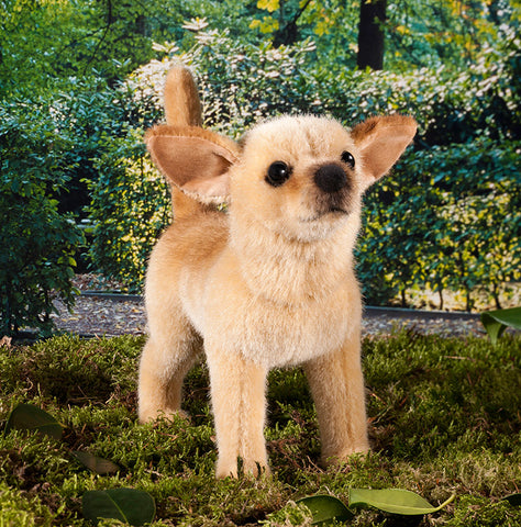 Chihuahua by Kosen - 27cm