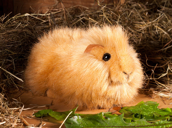 Guinea Pig by Kosen - 19cm