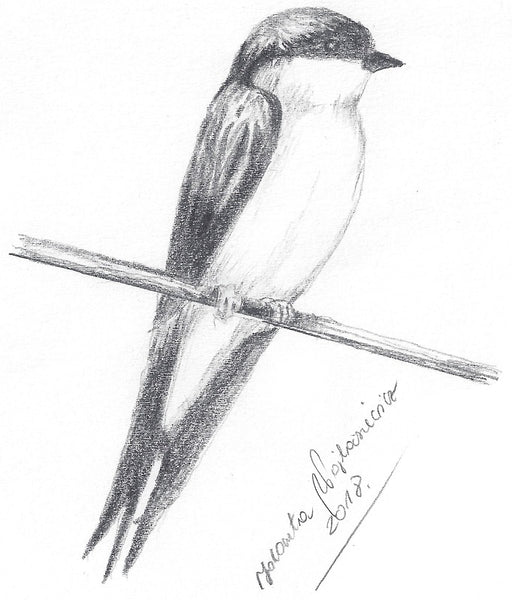 House Martin (Swallow) by Kosen - 19cm