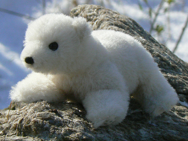 Nurri - Polar Bear Cub Limited Edition by Kosen - 16cm