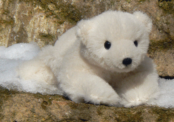 Nurri - Polar Bear Cub Limited Edition by Kosen - 16cm