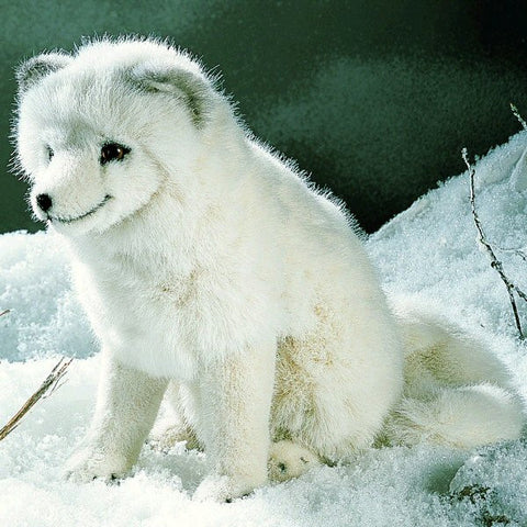 Arctic Fox by Kosen - 25cm