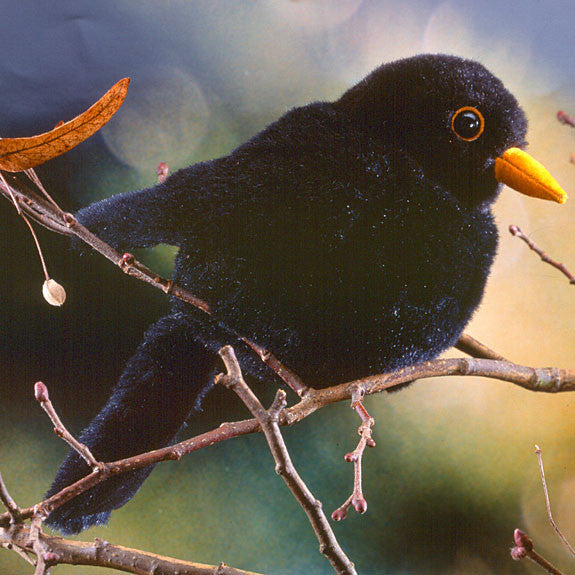 Blackbird by Kosen - 19cm