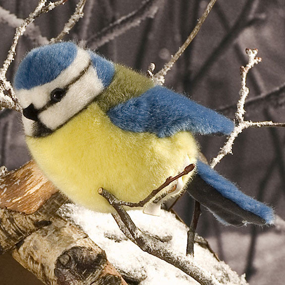 Blue Tit by Kosen - 14cm