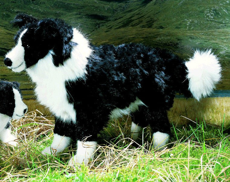 Life size border collie best sale soft toy