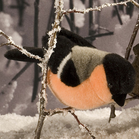 Bullfinch by Kosen - 18cm