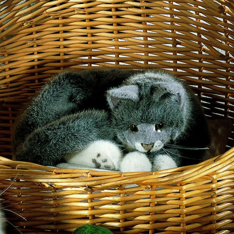 Cat by Kosen - 50cm, grey