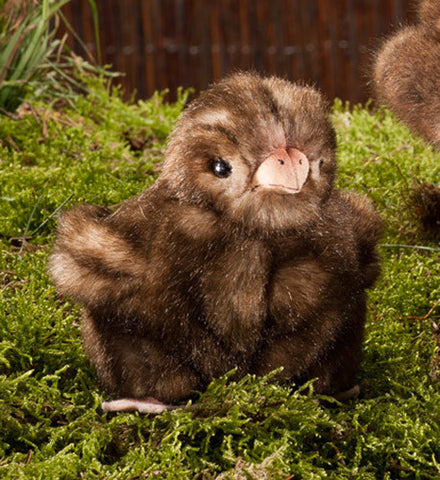 Chick by Kosen - 11cm