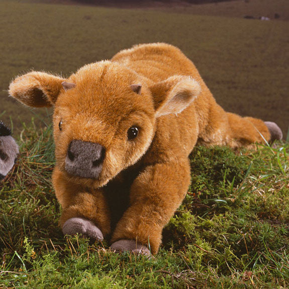 Calf by Kosen - 37cm