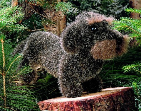 Dachshund by Kosen - 23cm