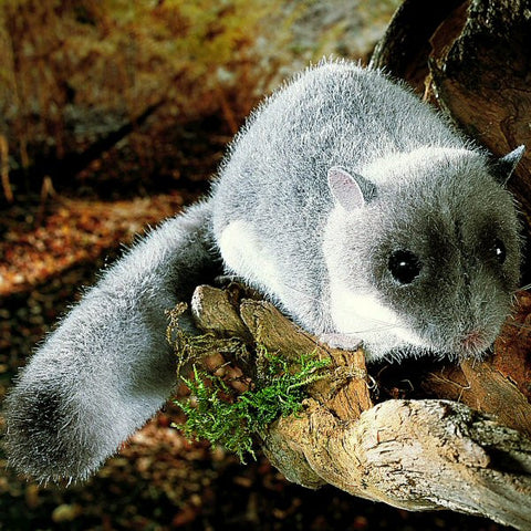 Fat Dormouse by Kosen - 26cm