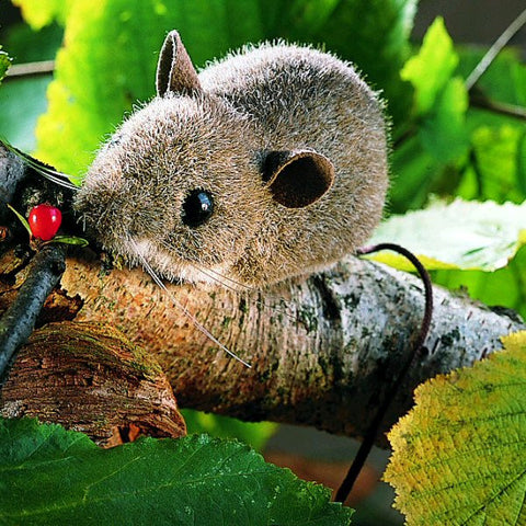 Forest Mouse by Kosen - 11cm