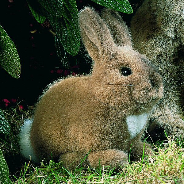 Hare by Kosen - 19cm