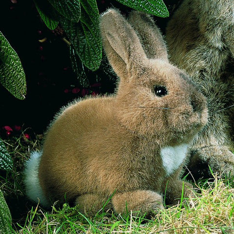 Hare by Kosen - 19cm