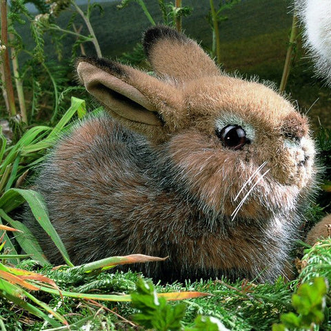 Hare baby by Kosen - 18cm