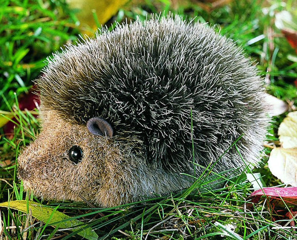 Hedgehog by Kosen - 12cm