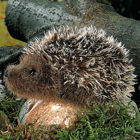 Hedgehog by Kosen - 11cm