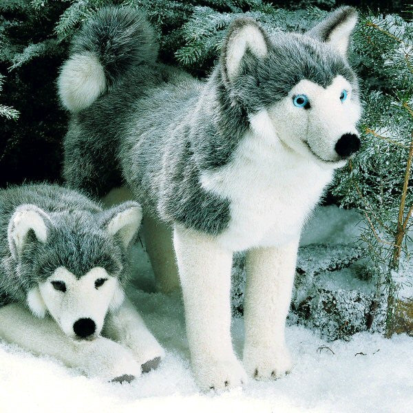 Husky by Kosen - 37cm