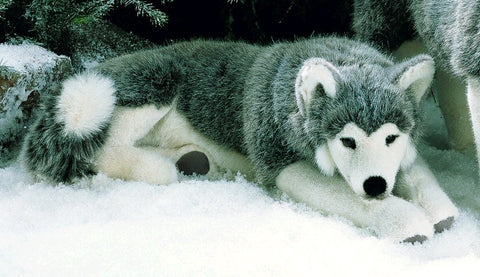 Husky by Kosen - 41cm