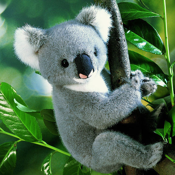 Koala bear by Kosen - 23cm