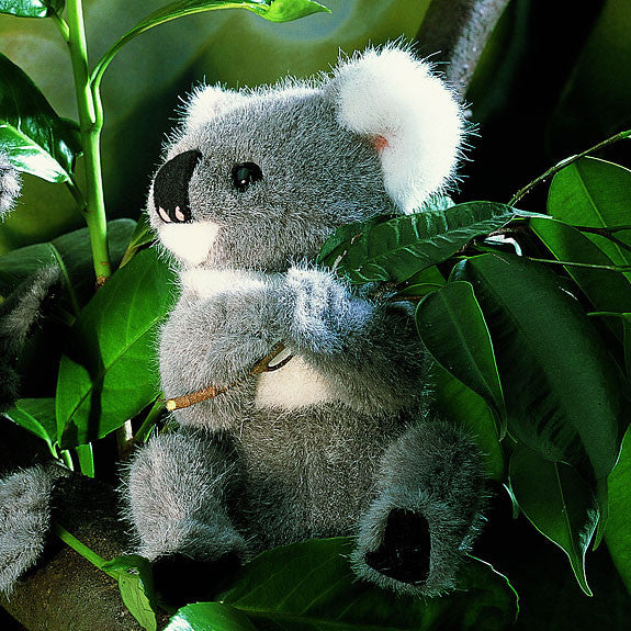 Life size koala bear top stuffed animal