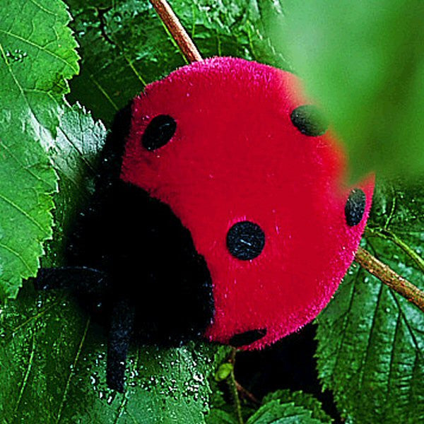 Ladybird by Kosen - 8cm